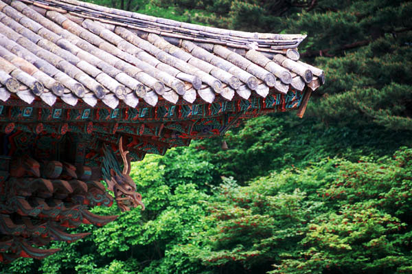korea01