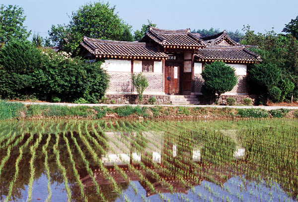 korea12
