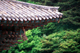 korea01