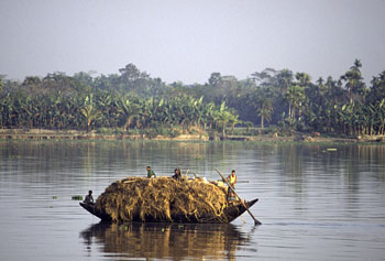 image003